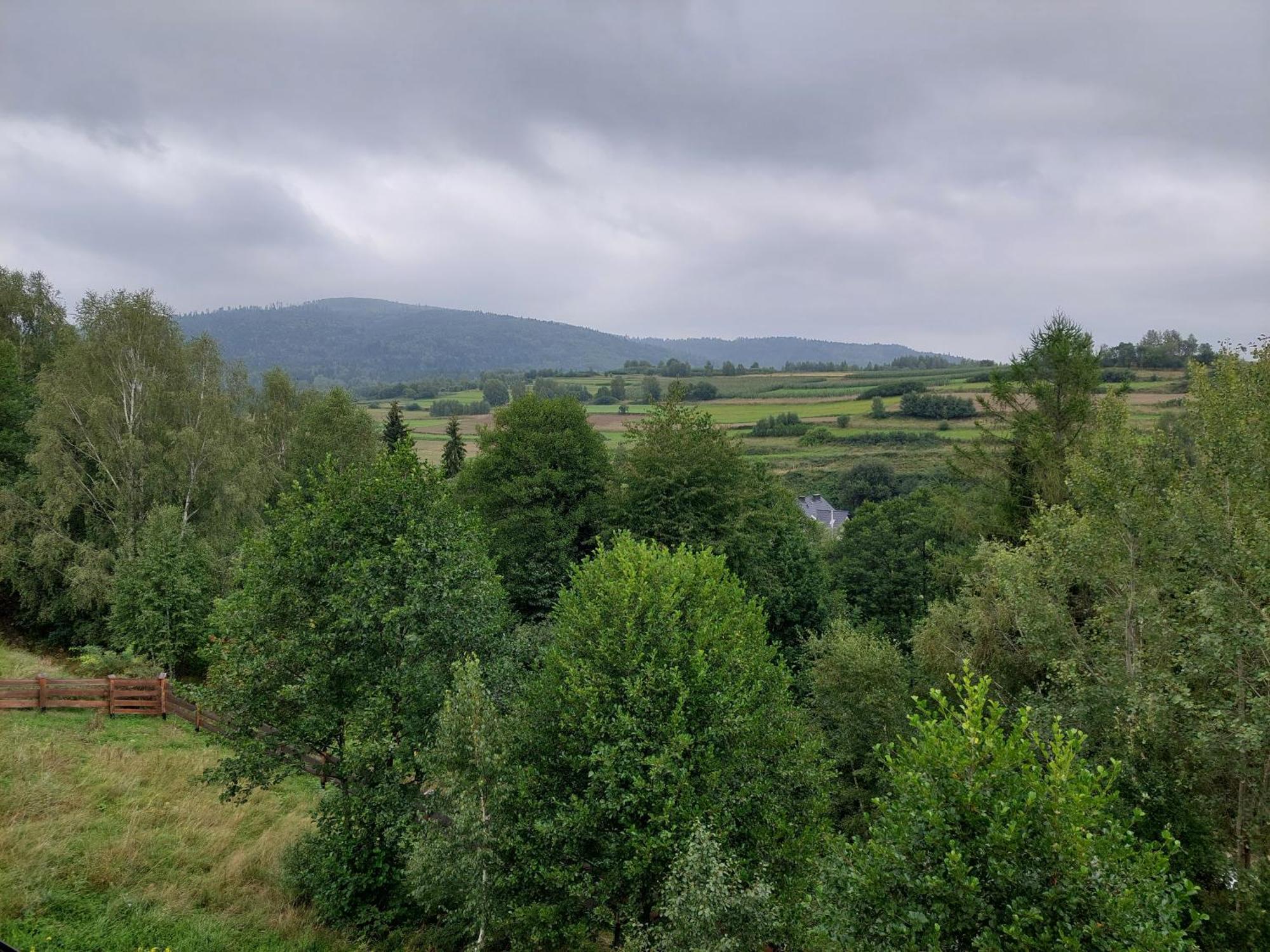 Niedzwiedzi Zakatek Sidzina