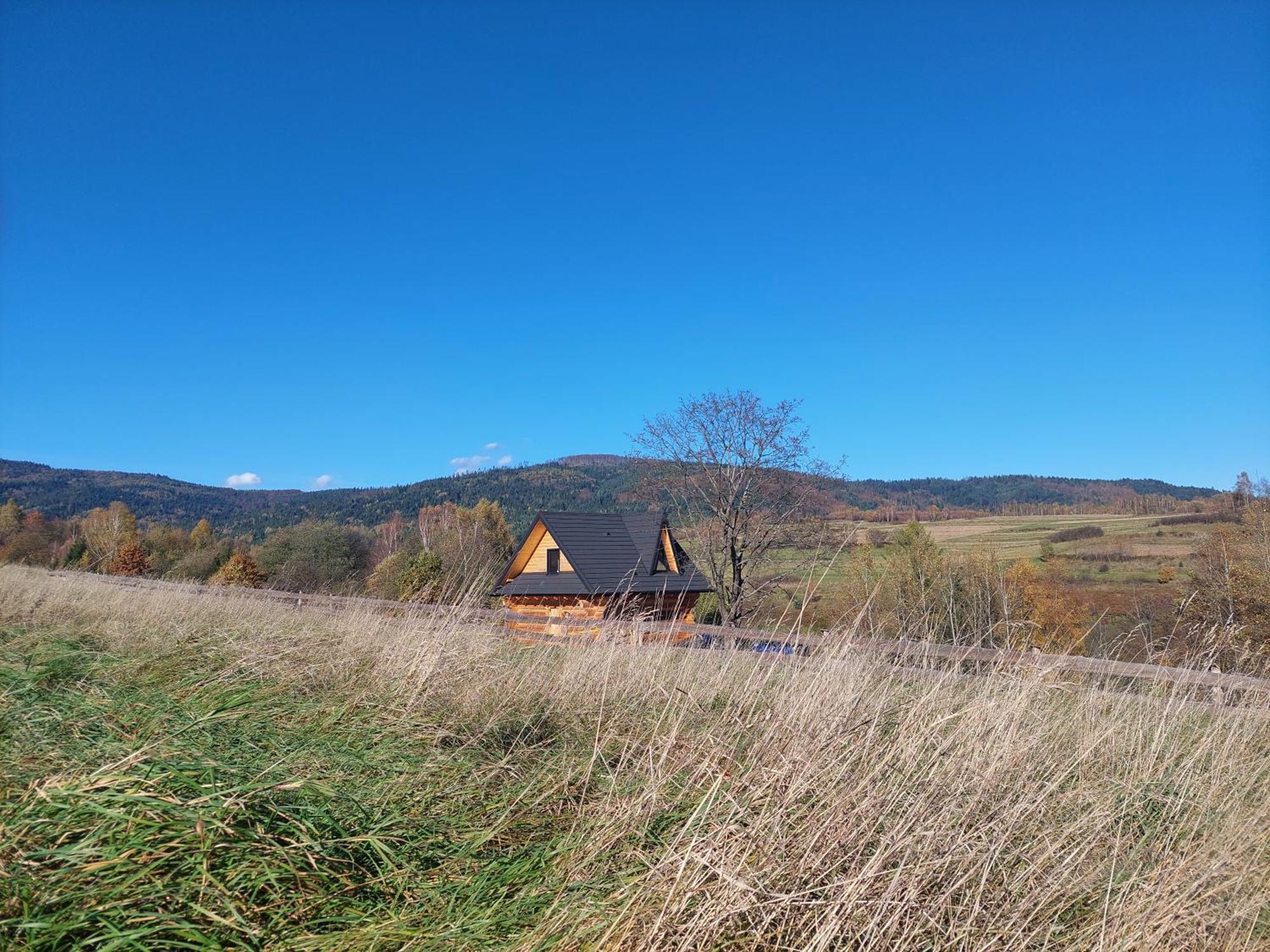 Niedzwiedzi Zakatek Chalet *