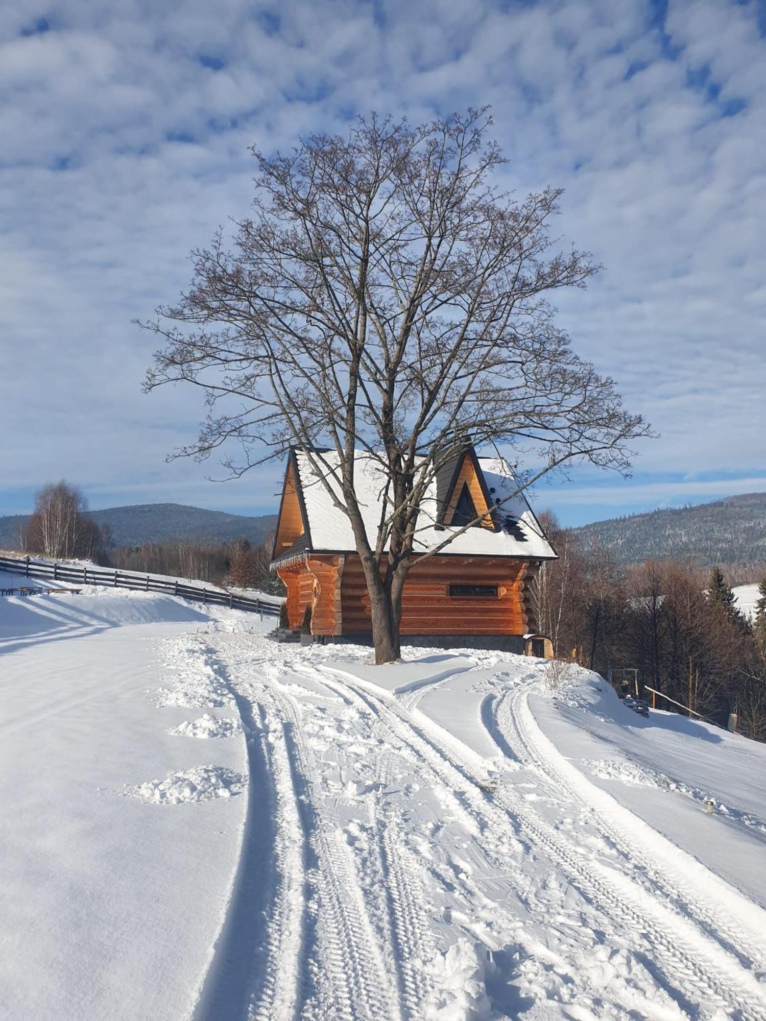 Chalet Niedzwiedzi Zakatek *